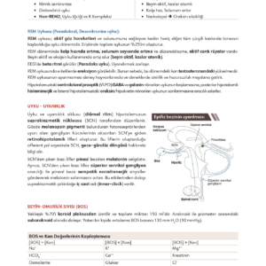 Infodus Fizyoloji - Görsel 4