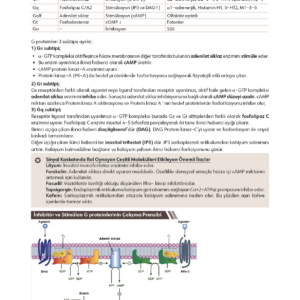 Infodus Farmakoloji - Görsel 3