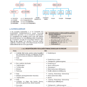 Infodus Farmakoloji - Görsel 4