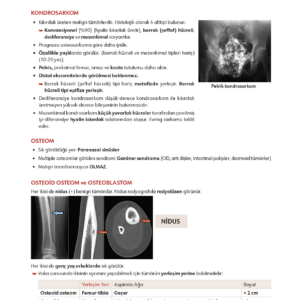 Infodus Patoloji - Görsel 4