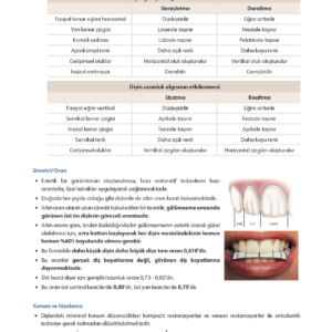 Infodus Restoratif Diş Tedavisi - Görsel 4