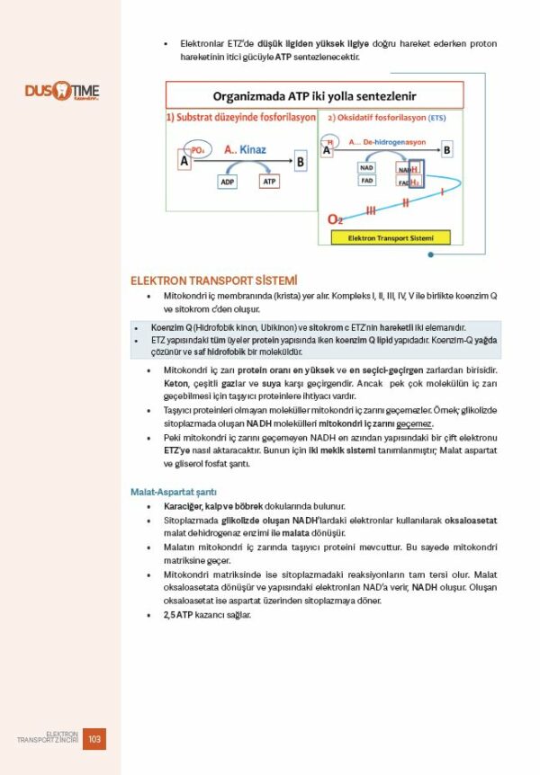 biyo4