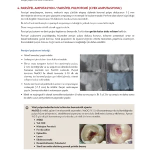 Infodus Endodonti - Görsel 4