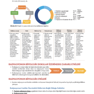 Infodus Ağız, Diş ve Çene Radyolojisi - Görsel 3