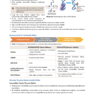 Infodus Ağız, Diş ve Çene Radyolojisi - Görsel 4