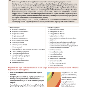Infodus Periodontoloji - Görsel 3