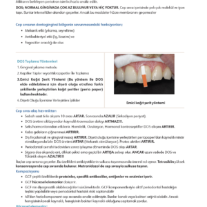 Infodus Periodontoloji - Görsel 4