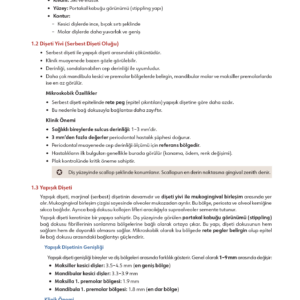 Infodus Periodontoloji - Görsel 3
