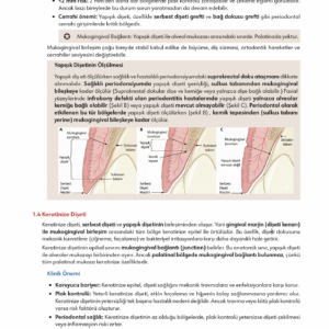 Infodus Periodontoloji - Görsel 4