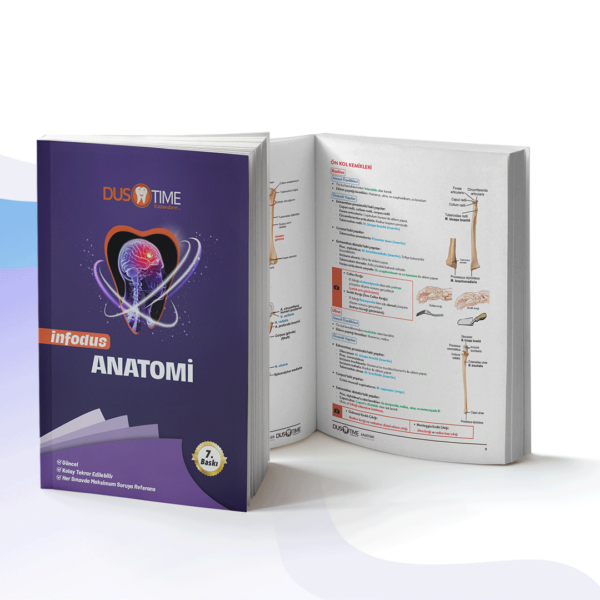 ANATOMİ