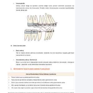 Infodus Ortodonti - Görsel 3