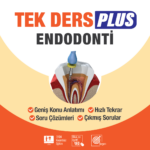 endodonti-plus-paket