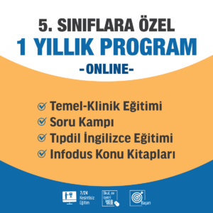 Online 1 Yıllık Program - Görsel 1