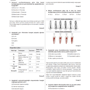 Endodonti Branş Denemeleri - Görsel 4