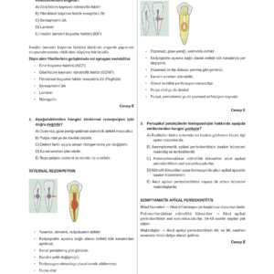 Endodonti Branş Denemeleri - Görsel 5