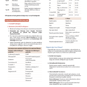 FastWay Endodonti - Görsel 4