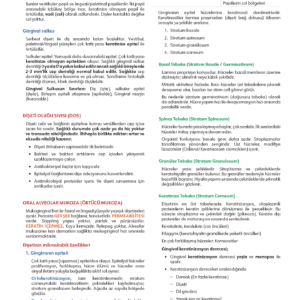 FastWay Periodontoloji - Görsel 3