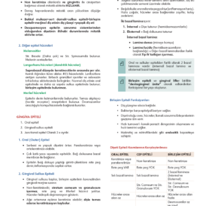 FastWay Periodontoloji - Görsel 4